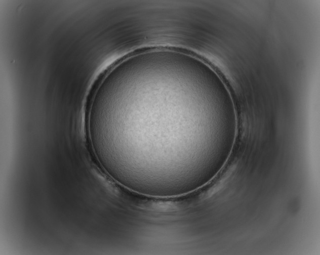 X0000088190982200705221659