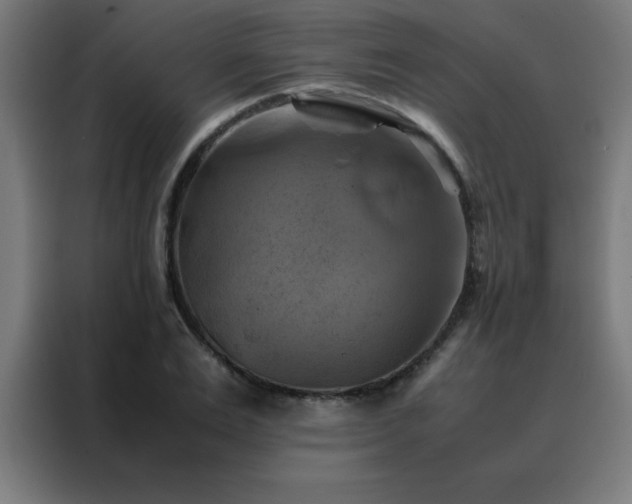 X0000088190983200705221659