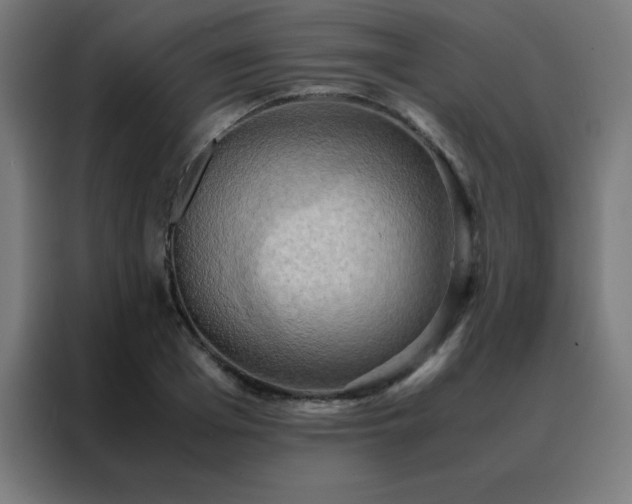 X0000088190985200705221659