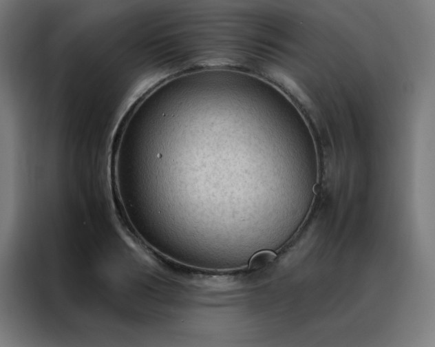 X0000088190986200705221659