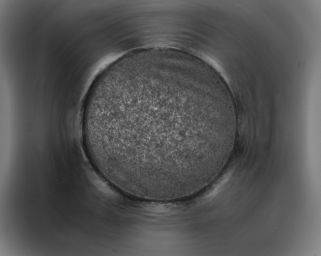 X0000088190987200705221659