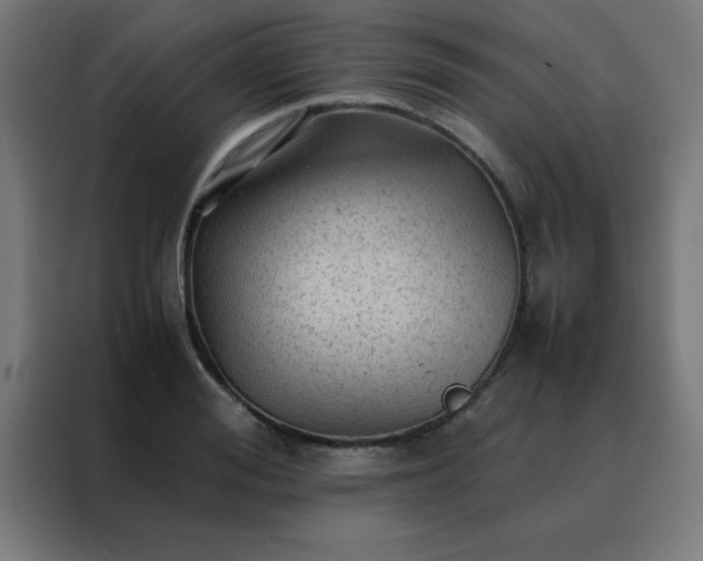 X0000088190988200705221659