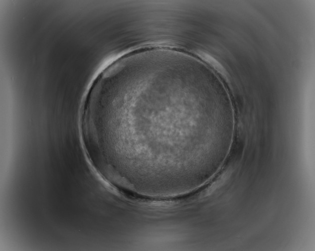 X0000088190989200705221659