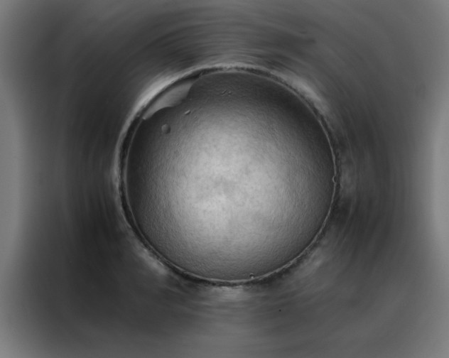 X0000088190990200705221659