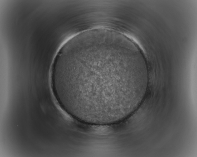 X0000088190991200705221659