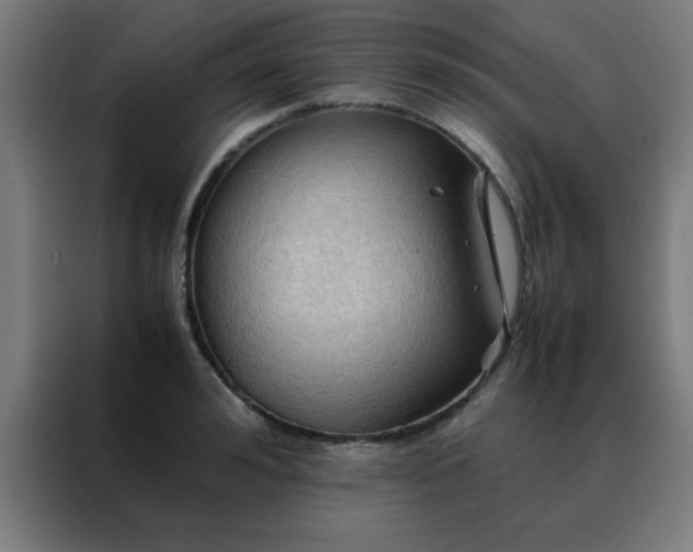 X0000088190992200705221659