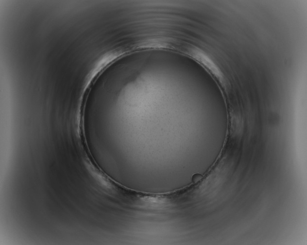 X0000088190994200705221659