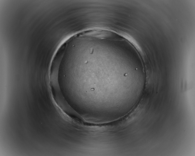 X0000088190996200705221658