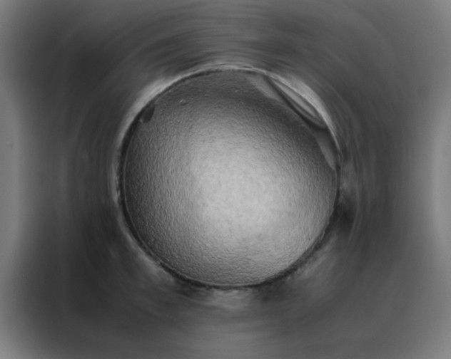X0000088190997200705221658