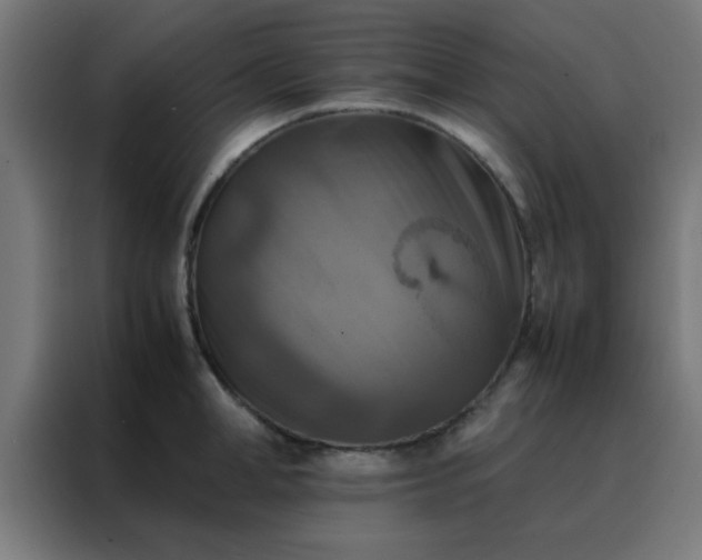 X0000088190998200705221658