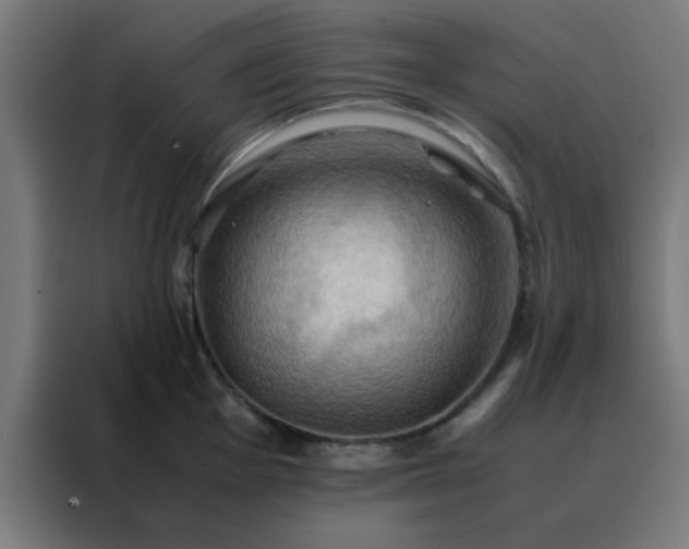 X0000088191001200705221658