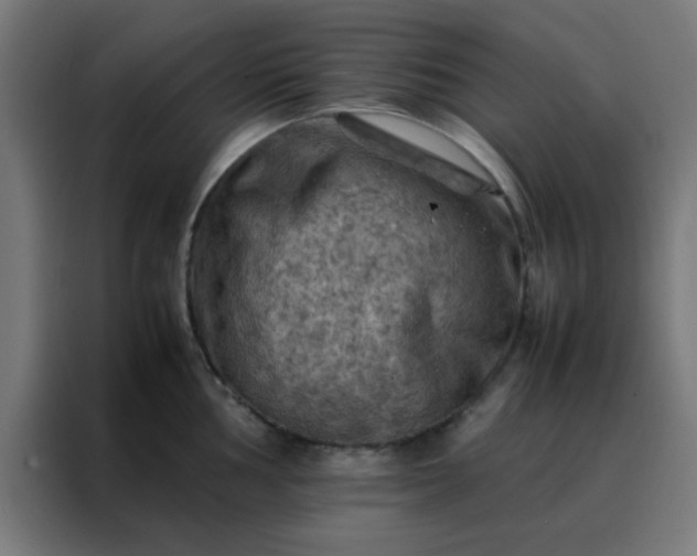 X0000088191002200705221658