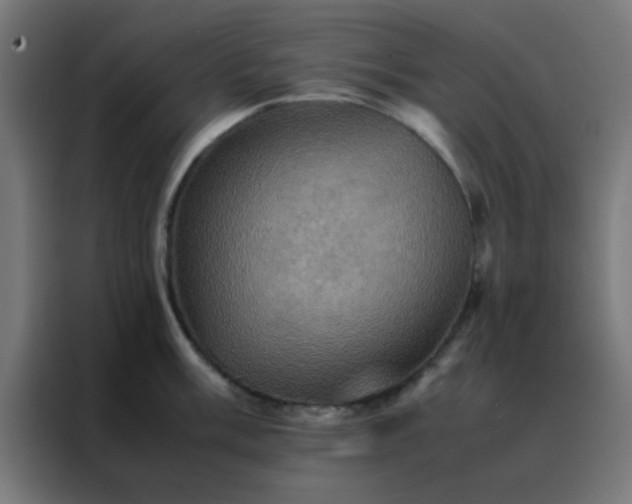 X0000088191003200705221658