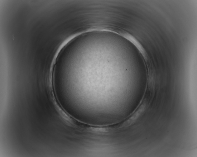X0000088191004200705221658