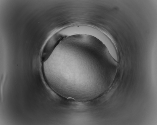 X0000088191005200705221658