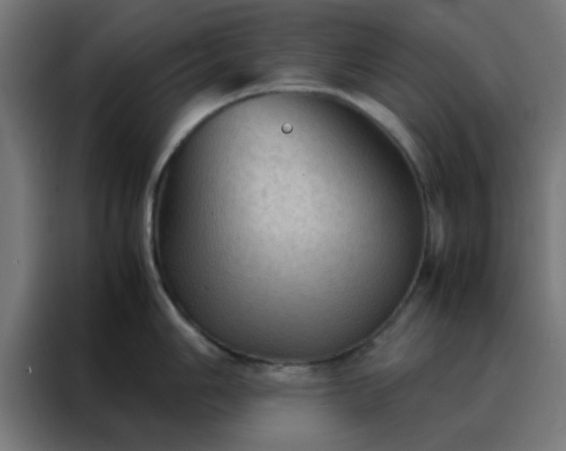 X0000088191006200705221658