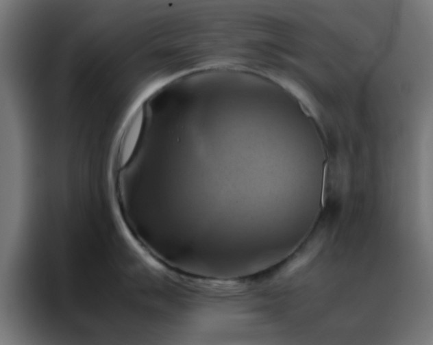 X0000088191007200705221658