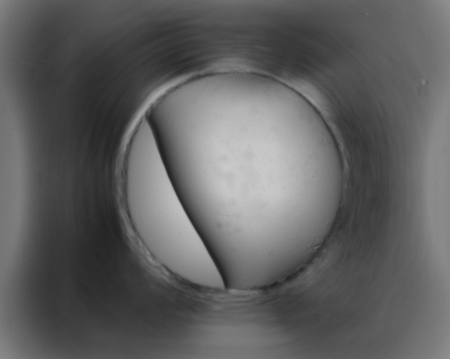 X0000088191008200705221658