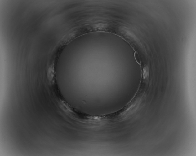 X0000088191011200705221658
