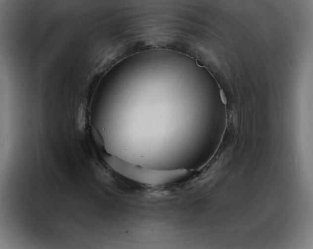 X0000088191012200705221658