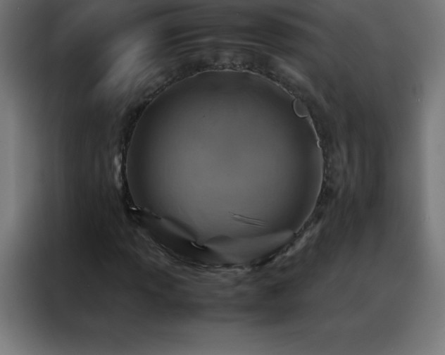 X0000088191013200705221658