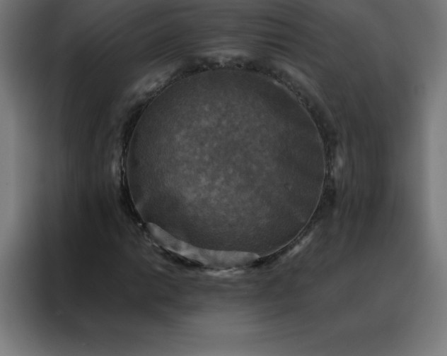 X0000088191014200705221658