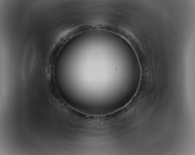X0000088191016200705221658