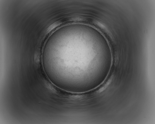 X0000088191017200705221658