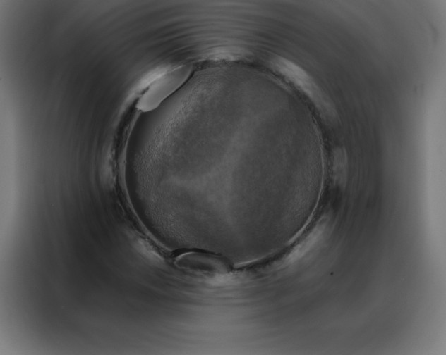 X0000088191018200705221658