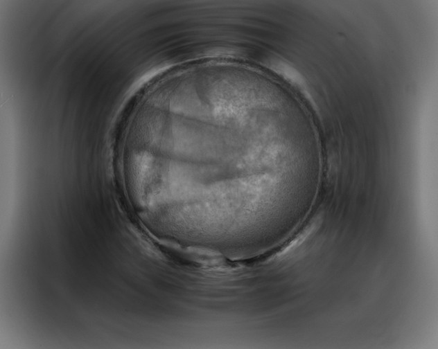 X0000088191019200705221658