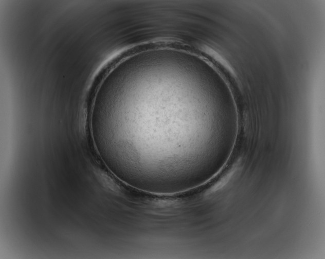 X0000088191021200705221658