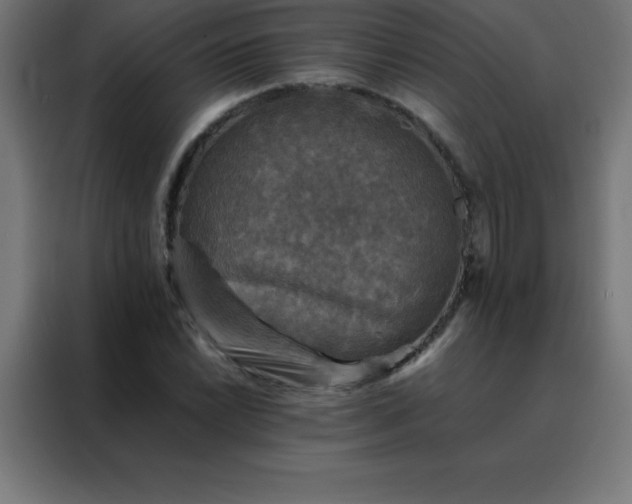 X0000088191022200705221658