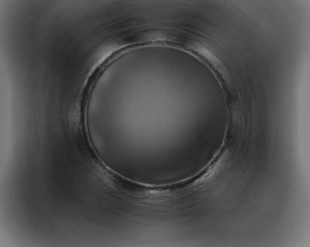 X0000088191023200705221658