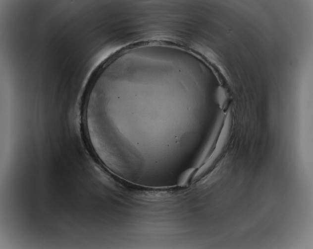 X0000088191024200705221658