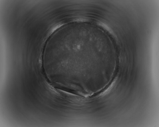X0000088191025200705221658