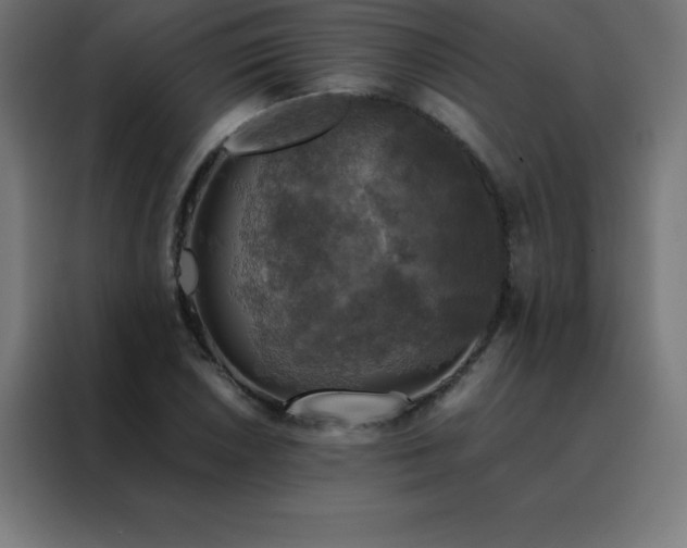 X0000088191026200705221658