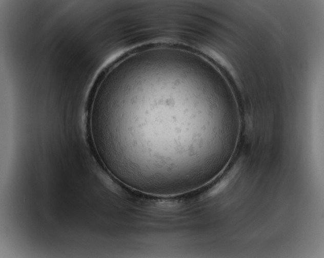 X0000088191029200705221658
