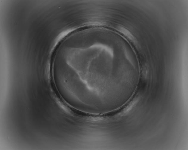 X0000088191030200705221658