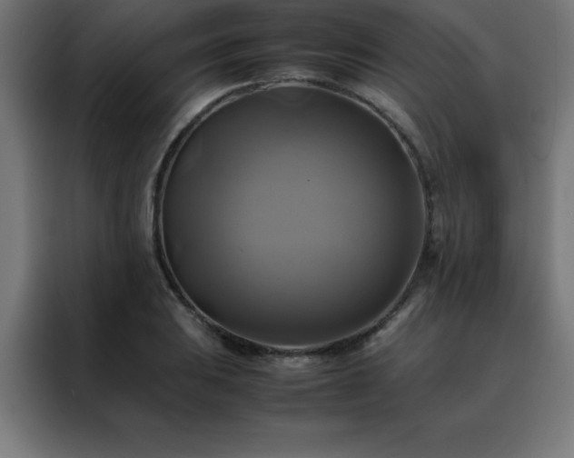 X0000088191031200705221658