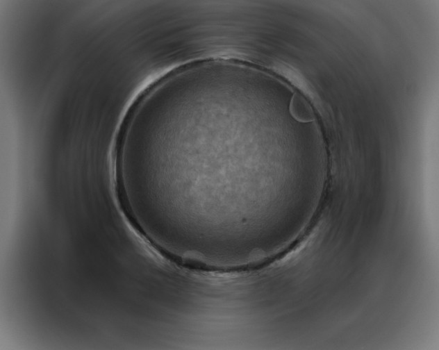X0000088191032200705221658