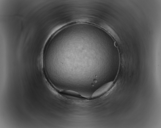 X0000088191036200705221658