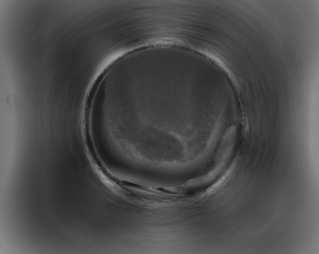 X0000088191038200705221658