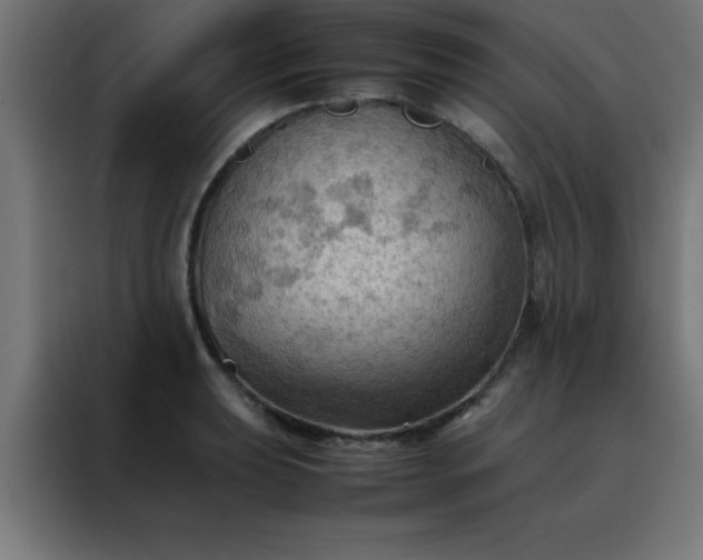 X0000088191039200705221658
