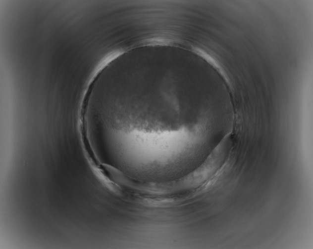X0000088191042200705221658