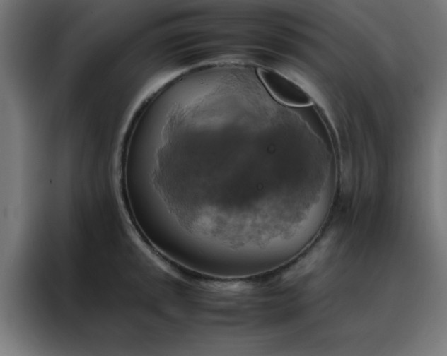 X0000088191045200705221658