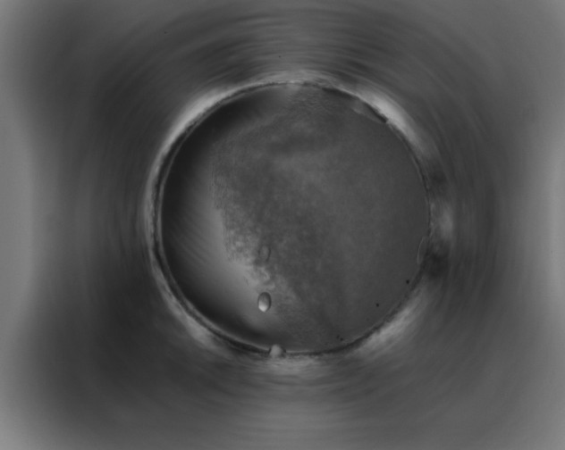 X0000088191046200705221658