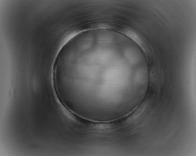 X0000088191047200705221658