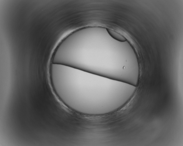 X0000088191048200705221658