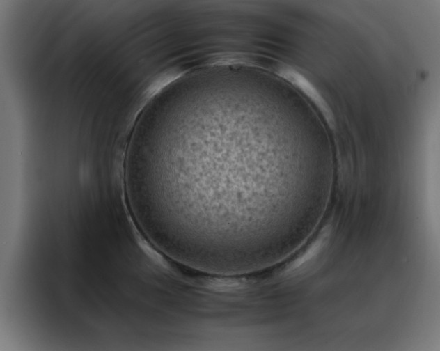 X0000088191049200705221658