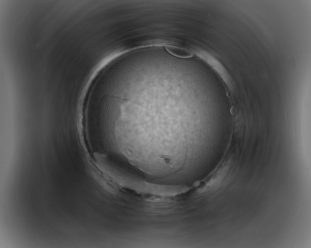 X0000088191051200705221658